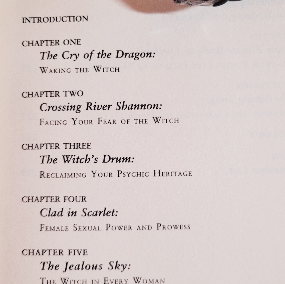 Mystical Bundle: Goddess Book, Amulet Bag, Necklace & Moonstone Sterling Ring! - Picture 5 of 9